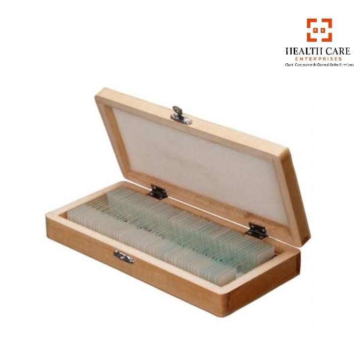 Plant and Animal Cell Slides